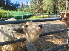 -长白岛森林公园