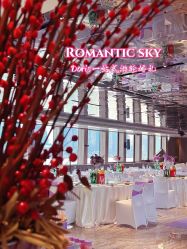 -Doris一站式游轮婚礼船东直营店(外滩店)