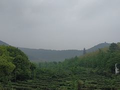 -旺山·浪头人家