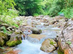 -西岭雪山大飞水景区