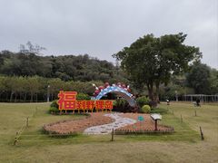 -野狸岛