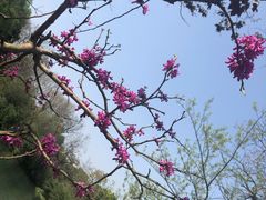 -花溪公园