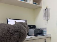 -美联众合24小时·皮肤科·外科·全科诊疗中心(华苑分院)