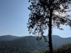 -树山生态村