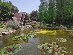 -上海滨江森林公园