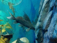 -福州罗源湾海洋世界旅游区