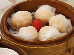 -益健美食大广场(北岭店)
