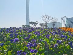 -二沙岛艺术公园