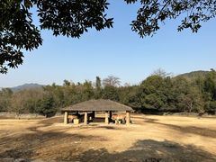 -杭州野生动物世界
