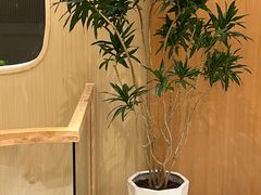 -瑶舍头疗·瑶浴·芳香热石SPA(五洲国际店)