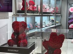 -ROSEONLY诺誓(广州K11店)