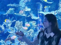 -左海海底世界