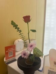 -苑苑vbeauty科技美容SPA