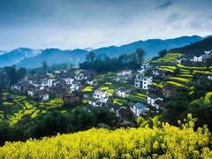 -婺源风景区