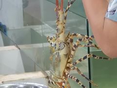 -Isla Sugbu Seafood City