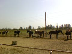 草原区-南湖湿地公园