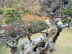 -亭林园-华藏寺