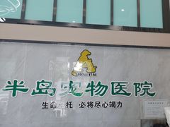 -半岛宠物医院24小时(科华中路店)