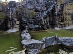 -上海吴淞炮台湾国家湿地公园