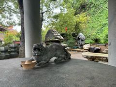 -仙岳公园