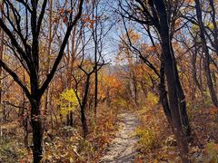 -玉渡山自然风景区
