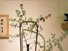 -茶是一枝花泡茶店