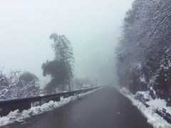 -宁波浙东大竹海景区