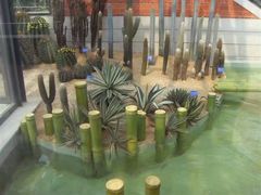 -济南国际园博园