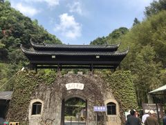 -夏霖九天银瀑风景区