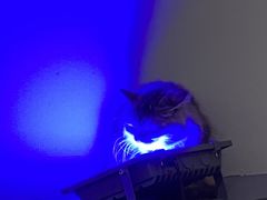 -极木²邸 人与宠物·互动社区