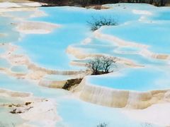 -黄龙山原始森林景区
