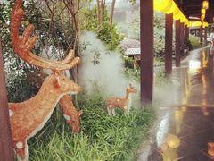 -杭州第一世界大酒店·云曼温泉