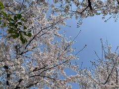 -龙美术馆(西岸馆)