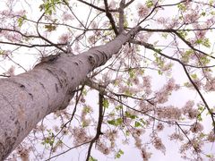 -白石龙音乐公园