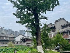 -龙潭水乡