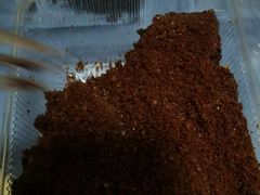 -爱德顺糕点食屋(利民道店)