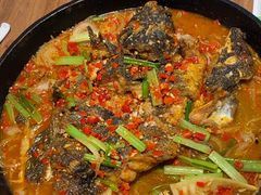 -老板恋上鱼(恒隆广场店)