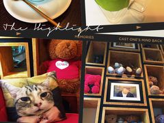 -咖法森林·咖啡  酒吧(天河店)