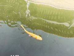 -粤剧艺术博物馆