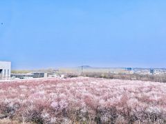 -明秦王墓遗址