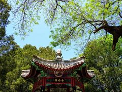 -北京植物园-展览温室