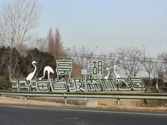 -盐城丹顶鹤湿地生态旅游区