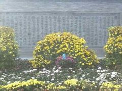 android_upload_pic-迎泽公园