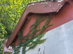 -红螺寺