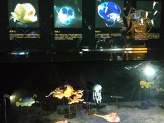 -同济大学四平路校区深海探索馆