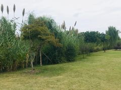 -鹅湖玫瑰文化园