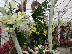 -上海鲜花港