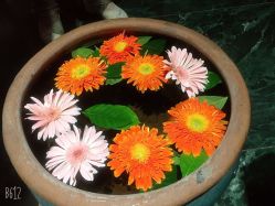 -琦品高端美容SPA私佳美场