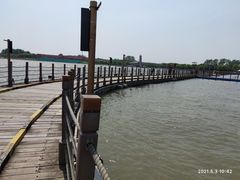 -溱湖国家湿地公园