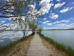 -野鸭湖国家湿地公园